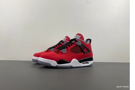 308497-603 4 Jordan Bravo Toro Retro 308497-603  0410